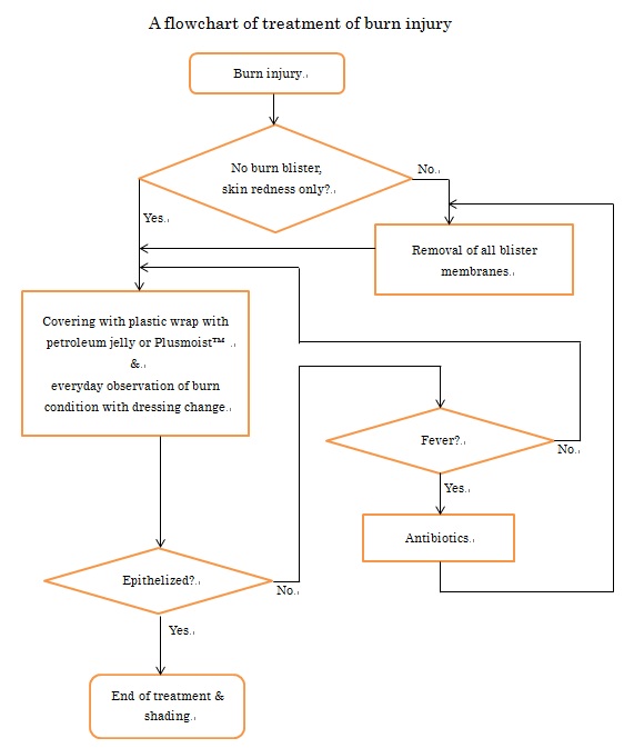 Wound Care Flow Chart